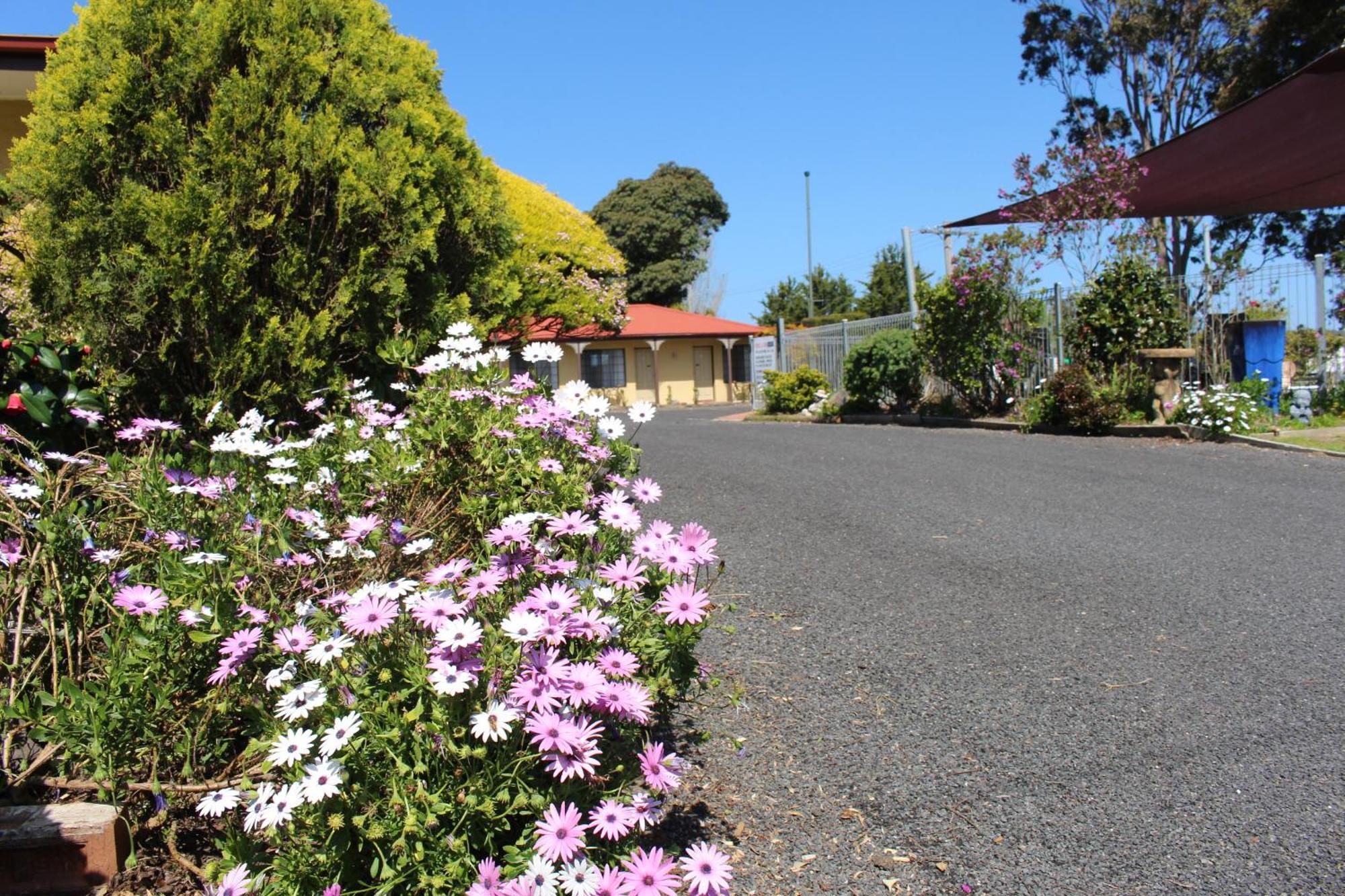 Colonial Motor Inn Pambula Dış mekan fotoğraf